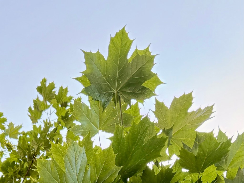 The best is yet to&nbsp;come